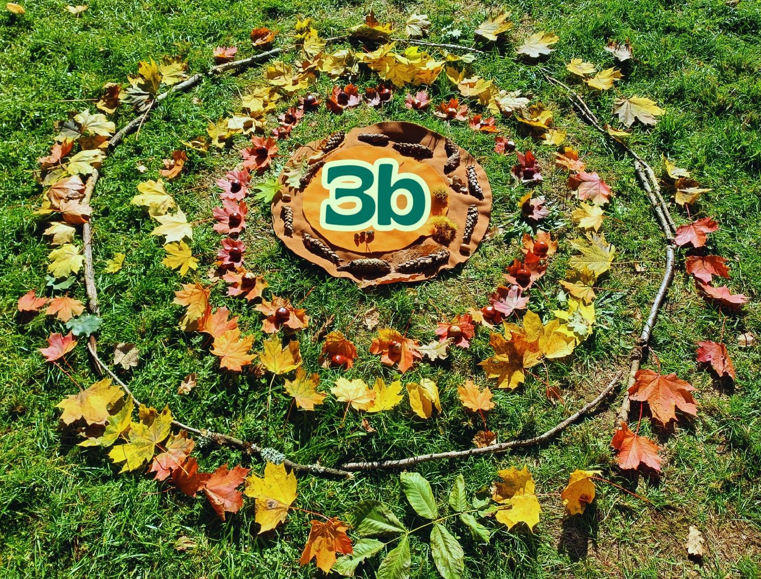 3b 2025